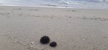 Nea Karvali, Doğu Makedonya ve Trakya, Kavala Belediyesi, kuzey Yunanistan. Ege Denizi kıyılarının fotoğrafı
