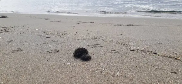 Nea Karvali, Doğu Makedonya ve Trakya, Kavala Belediyesi, kuzey Yunanistan. Ege Denizi kıyılarının fotoğrafı