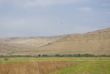 Orta Georgia vadisi. Dağ yamaçları, Kafkaslar. Fotoğraflar Gürcistan, Kafkasya 'dan
