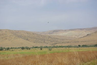 Orta Georgia vadisi. Dağ yamaçları, Kafkaslar. Fotoğraflar Gürcistan, Kafkasya 'dan