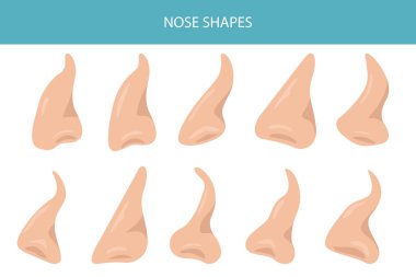 Shapes of nose anatomy. Nasal diseases. Medical infographic design. Vector illustration clipart