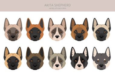 Akita Shepherd clipart. Akita Inu German Shepherd mix. Different coat colors set.  Vector illustration clipart