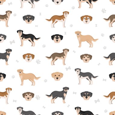 Alaska Malador Clipart. Alaska Malamute Labrador Retriever karışımı. Farklı ceket renkleri. Vektör illüstrasyonu
