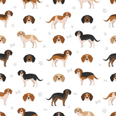 Beagle Cavalier King Charles Spaniel karışımı. Daha güzel ve pürüzsüz bir desen. Farklı ceket renkleri. Vektör illüstrasyonu