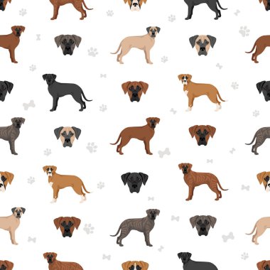 Boksör köpeği Labrador Retriever karışımı. Boxador kusursuz desen. Farklı ceket renkleri. Vektör illüstrasyonu