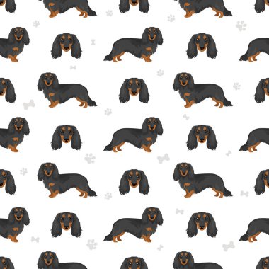 Dachshund uzun tüylü köpek deseni. Farklı ceket renkleri. Vektör illüstrasyonu