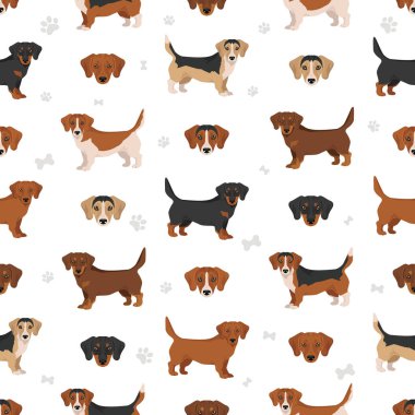 Doxle kusursuz desen. Dachshund-Beagle karışımı. Farklı ceket renkleri. Vektör illüstrasyonu
