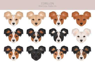 Corillon köpek klipsi. Galli Corgi Papillon karışımı. Farklı ceket renkleri. Vektör illüstrasyonu