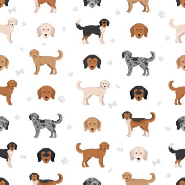Cadoodle kusursuz desen. Sert Collie kaniş karışımı. Farklı ceket renkleri. Vektör illüstrasyonu