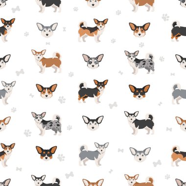 Corgi Husky kusursuz kalıpları karıştırıyor. Welsh Corgi Sibirya Husky karışımı. Farklı ceket renkleri. Vektör illüstrasyonu