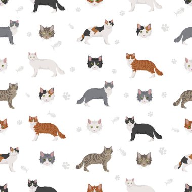 La Perm Cat klibi. Tüm ceket renkleri ayarlandı. Tüm kediler karakteristik bilgi kaynaklarına sahiptir. Vektör illüstrasyonu