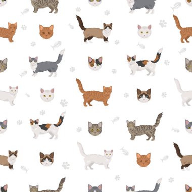 Lambkin Cat 'in kusursuz deseni. Tüm ceket renkleri ayarlandı. Tüm kediler karakteristik bilgi kaynaklarına sahiptir. Vektör illüstrasyonu
