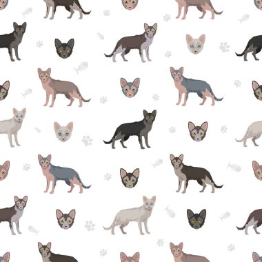 Lykoi Kedisi kusursuz desen. Tüm ceket renkleri ayarlandı. Tüm kediler karakteristik bilgi kaynaklarına sahiptir. Vektör illüstrasyonu