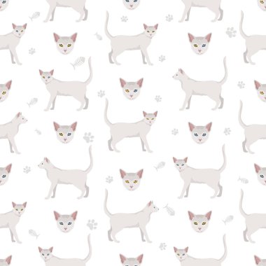 Khao Manee Cat seamless pattern. All coat colors set.  All cat breeds characteristics infographic. Vector illustration clipart