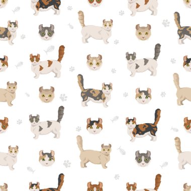 Kinkalow Kedisi pürüzsüz desen Tüm ceket renkleri ayarlandı. Tüm kediler karakteristik bilgi kaynaklarına sahiptir. Vektör illüstrasyonu