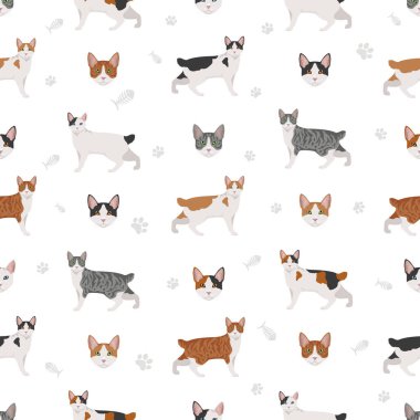 Koreli Kısa Kuyruklu Kedi kusursuz desen. Tüm ceket renkleri ayarlandı. Tüm kediler karakteristik bilgi kaynaklarına sahiptir. Vektör illüstrasyonu
