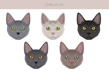 Korn Ja Cat klibi. Tüm ceket renkleri ayarlandı. Tüm kediler karakteristik bilgi kaynaklarına sahiptir. Vektör illüstrasyonu