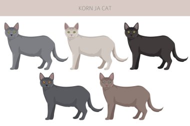 Korn Ja Cat klibi. Tüm ceket renkleri ayarlandı. Tüm kediler karakteristik bilgi kaynaklarına sahiptir. Vektör illüstrasyonu