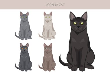 Korn Ja Cat klibi. Tüm ceket renkleri ayarlandı. Tüm kediler karakteristik bilgi kaynaklarına sahiptir. Vektör illüstrasyonu