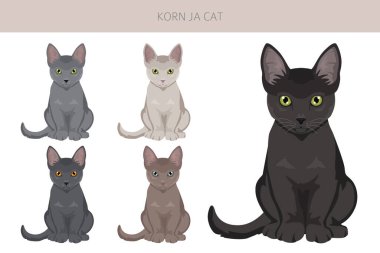 Korn Ja Cat klibi. Tüm ceket renkleri ayarlandı. Tüm kediler karakteristik bilgi kaynaklarına sahiptir. Vektör illüstrasyonu