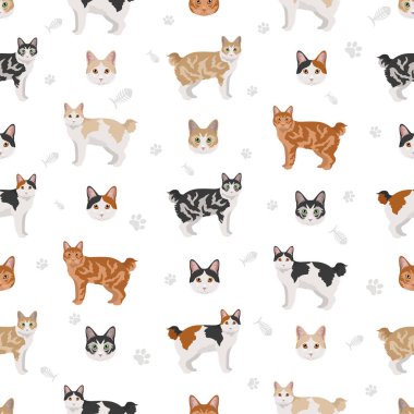 Kurilian kısa kuyruklu kedisi kusursuz desen. Tüm ceket renkleri ayarlandı. Tüm kediler karakteristik bilgi kaynaklarına sahiptir. Vektör illüstrasyonu