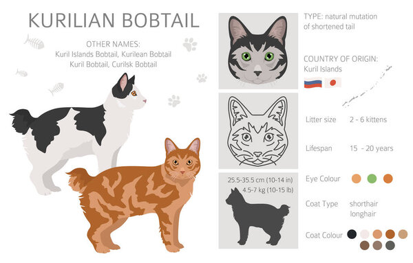 Kurilian Bobtail Cat clipart. All coat colors set.  All cat breeds characteristics infographic. Vector illustration