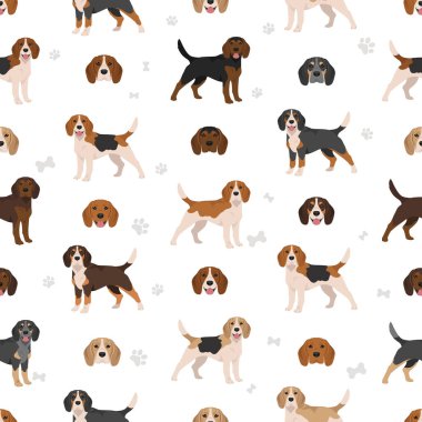 Av köpeği kusursuz desen. Tüm ceket renkleri ayarlandı. Farklı pozisyon. Bütün köpekler karakteristik bilgileri çoğaltır. Vektör illüstrasyonu