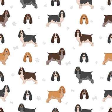 İngiliz springer spanyel şovu kusursuz desen. Farklı pozlar, farklı renkler. Vektör illüstrasyonu