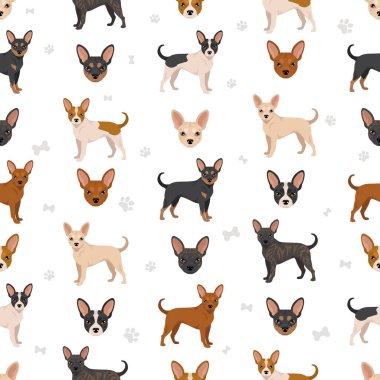 French Bulldog Corgi seamless pattern. French Bulldog - Welsh Corgi mix. All possible coat colors, breed information, adults and puppies.  Vector illustration clipart