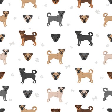 Sürahi kusursuz desen. Jack Russel Terrier - Pug mix. Farklı ceket renkleri. Vektör illüstrasyonu