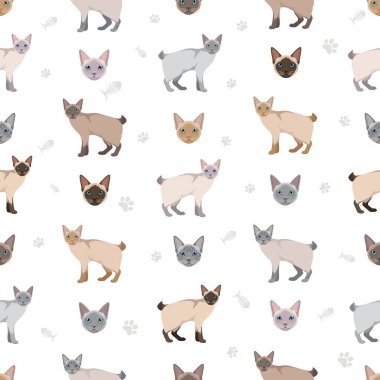 Mekong Kısa Kuyruklu Kedi 'nin kusursuz deseni. Tüm ceket renkleri ayarlandı. Tüm kediler karakteristik bilgi kaynaklarına sahiptir. Vektör illüstrasyonu