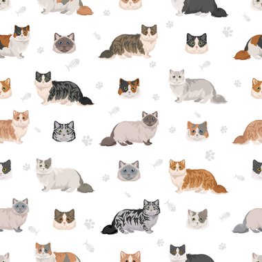 Minuet Cat 'in pürüzsüz ezmesi. Munchkin ve Pers karışımı. Napolyon Kedisi. Tüm ceket renkleri ayarlandı. Tüm kediler karakteristik bilgi kaynaklarına sahiptir. Vektör illüstrasyonu