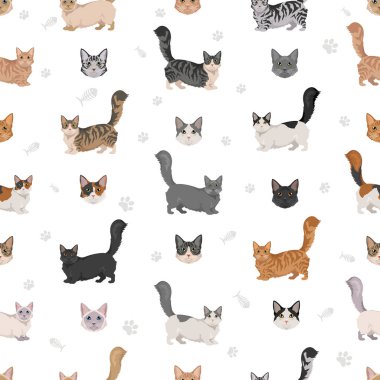Munchkin Cat 'in kusursuz deseni. Tüm ceket renkleri ayarlandı. Tüm kediler karakteristik bilgi kaynaklarına sahiptir. Vektör illüstrasyonu