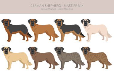 Alman çoban köpeği heykeli. Alman çoban köpeği - İngiliz Mastiff karışımı. Tüm olası palto renkleri, üreme bilgileri, yetişkinler ve yavrular. Vektör illüstrasyonu