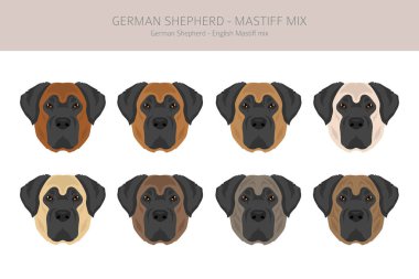 Alman çoban köpeği heykeli. Alman çoban köpeği - İngiliz Mastiff karışımı. Tüm olası palto renkleri, üreme bilgileri, yetişkinler ve yavrular. Vektör illüstrasyonu