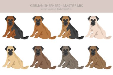 Alman çoban köpeği heykeli. Alman çoban köpeği - İngiliz Mastiff karışımı. Tüm olası palto renkleri, üreme bilgileri, yetişkinler ve yavrular. Vektör illüstrasyonu