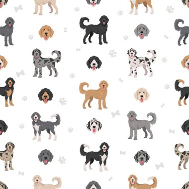 Harika Danoodle kusursuz desen. Dane kaniş harika bir karışım. Farklı ceket renkleri. Vektör illüstrasyonu