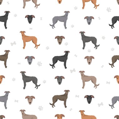 Longdog, İngiliz Greyhound 'u gibi kusursuz bir karışım hazırladı. Tüm olası palto renkleri, üreme bilgileri, yetişkinler ve yavrular. Vektör illüstrasyonu