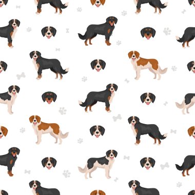 Mini Bernese clipart. Bernese Dağ Köpeği - Şövalye Kral Charles Spaniel karışımı. Farklı ceket renkleri. Vektör illüstrasyonu