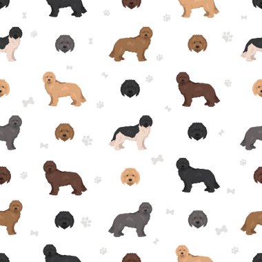 Newfypoo kusursuz desen. Newfoundland - Standart Kaniş karışımı. Tüm olası palto renkleri, üreme bilgileri, yetişkinler ve yavrular. Vektör illüstrasyonu