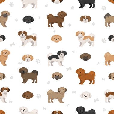 Shichi tırmanışı. Shih-Tzu Chihuahua kusursuz desen. Farklı ceket renkleri. Vektör illüstrasyonu