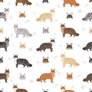 Norveç Ormanı Kedileri Klibi. Tüm ceket renkleri ayarlandı. Tüm kediler karakteristik bilgi kaynaklarına sahiptir. Vektör illüstrasyonu