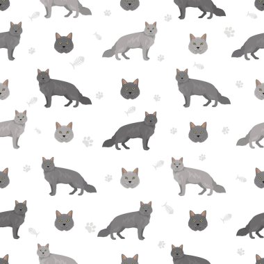 Nebelung Kedi Klibi. Tüm ceket renkleri ayarlandı. Tüm kediler karakteristik bilgi kaynaklarına sahiptir. Vektör illüstrasyonu