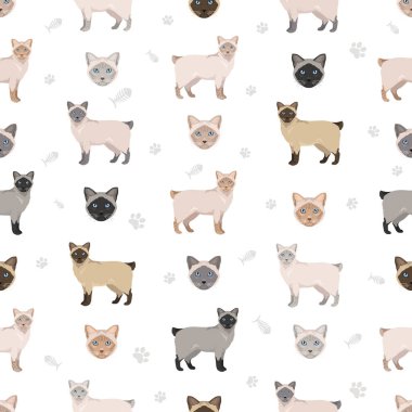 Owyhee Bob Cat klibi. Tüm ceket renkleri ayarlandı. Tüm kediler karakteristik bilgi kaynaklarına sahiptir. Vektör illüstrasyonu