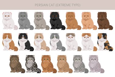 Pers kedisi uzun saçlı klipsi. Aşırı derecede İranlı bir kedi. Tüm ceket renkleri ayarlandı. Tüm kediler karakteristik bilgi kaynaklarına sahiptir. Vektör illüstrasyonu