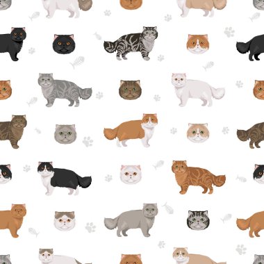 Pers kedisi uzun saçlı klipsi. Aşırı derecede İranlı bir kedi. Tüm ceket renkleri ayarlandı. Tüm kediler karakteristik bilgi kaynaklarına sahiptir. Vektör illüstrasyonu