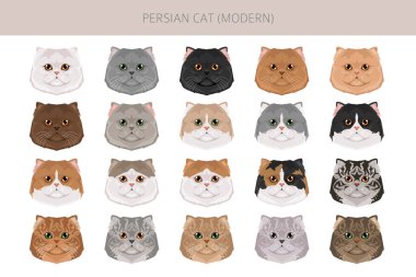 Pers kedisi uzun saçlı klipsi. Modern İran kedisi. Tüm ceket renkleri ayarlandı. Tüm kediler karakteristik bilgi kaynaklarına sahiptir. Vektör illüstrasyonu