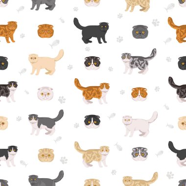 Foldex kedisi, Egzotik Katlanan Kedi klibi. Tüm ceket renkleri ayarlandı. Tüm kediler karakteristik bilgi kaynaklarına sahiptir. Vektör illüstrasyonu