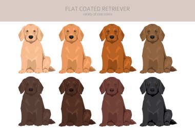 Düz kaplama av köpeği tırnağı. Farklı pozlar, farklı renkler. Vektör illüstrasyonu