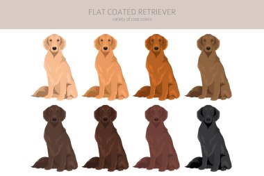 Düz kaplama av köpeği tırnağı. Farklı pozlar, farklı renkler. Vektör illüstrasyonu